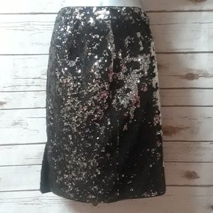 Zara Sequence Skirt